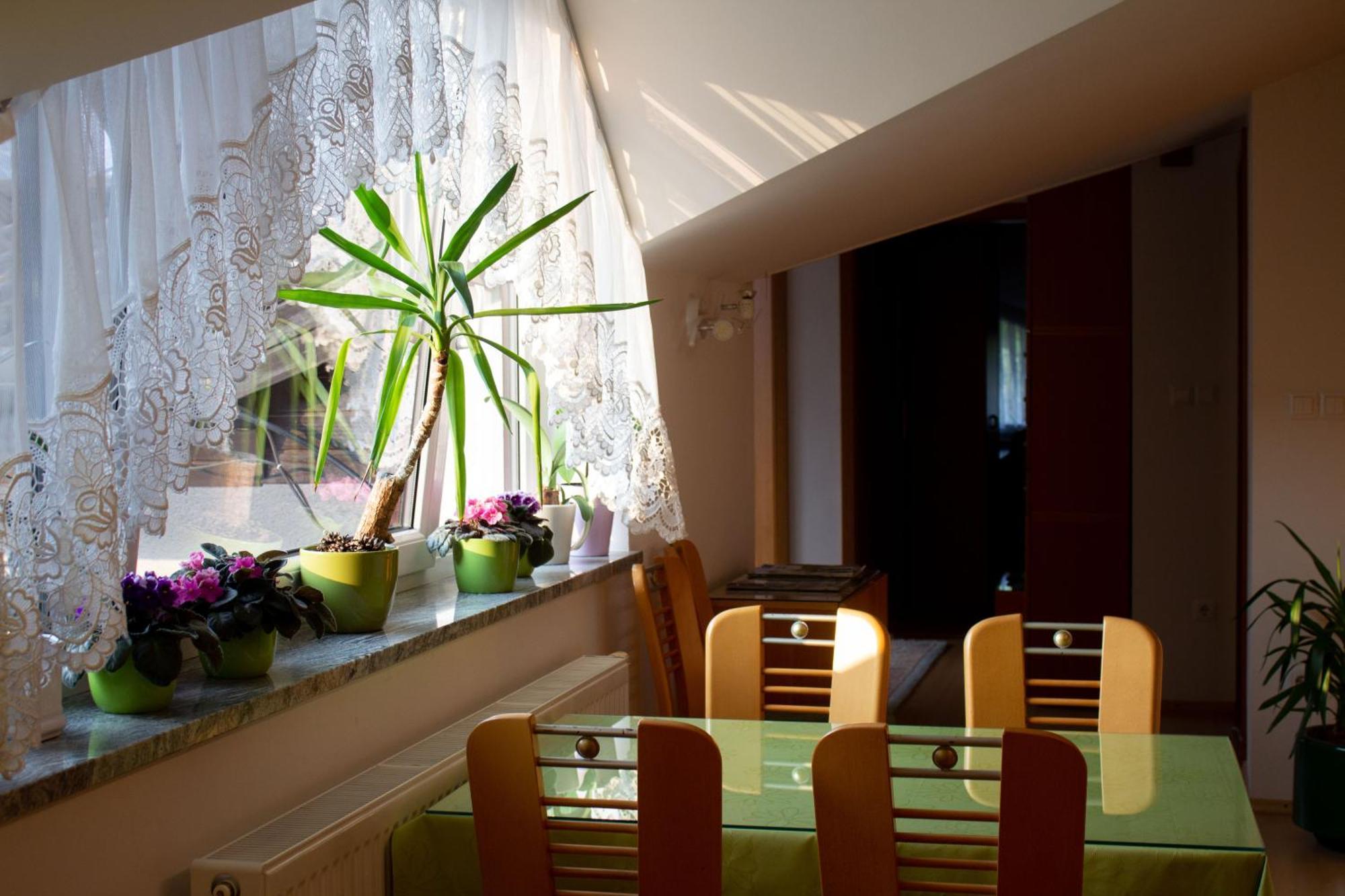 Garden Apartments Jansa Radovljica Room photo
